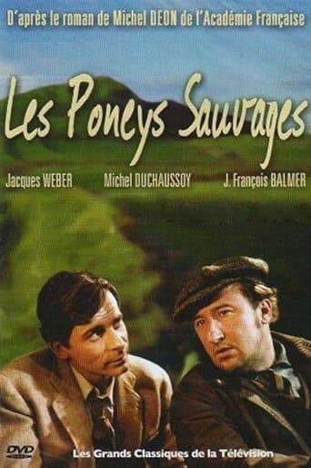 Poster for Les Poneys sauvages