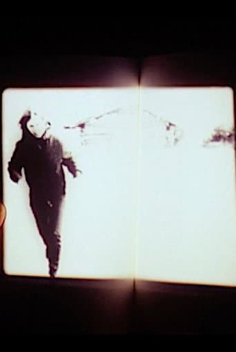 Poster for We Had the Experience but Missed the Meaning
