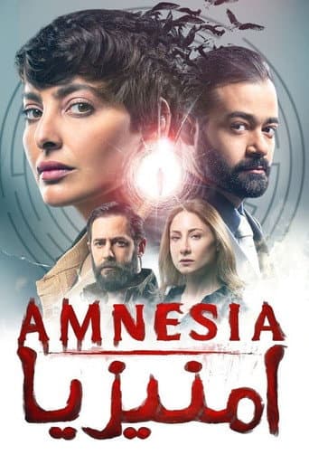 Poster for Amnesia