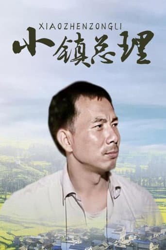 Poster for 小镇总理