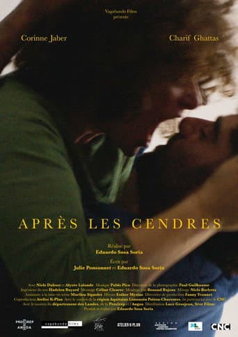 Poster for After the Ashes