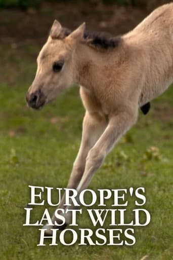 Poster for Europe's Last Wild Horses