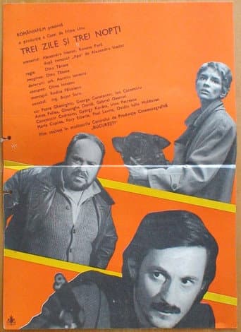 Poster for Three Days and Three Nights
