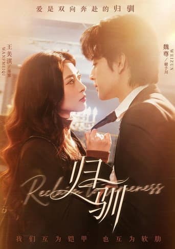 Poster for 归驯