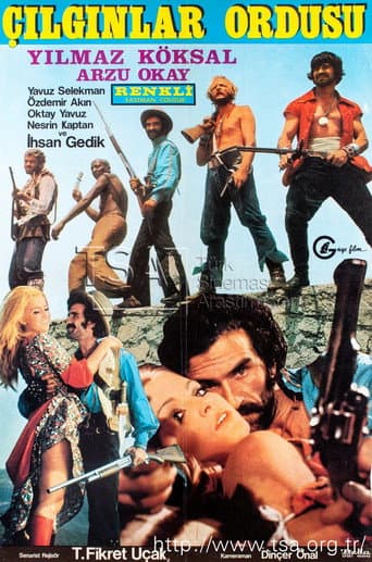 Poster for Çılgınlar Ordusu
