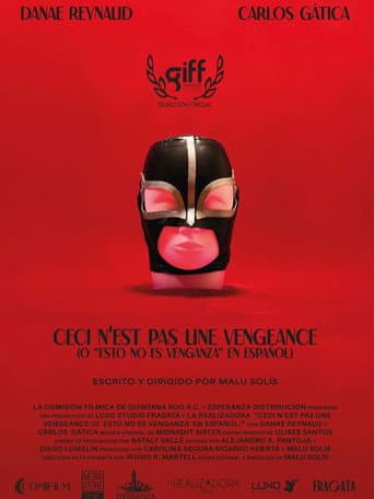 Poster for This Is Not Revenge