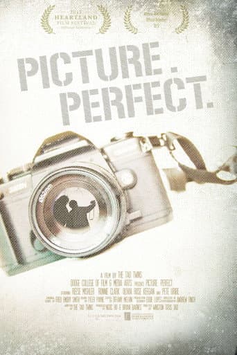 Poster for Picture. Perfect.