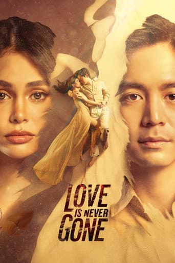 Poster for Love Is Never Gone