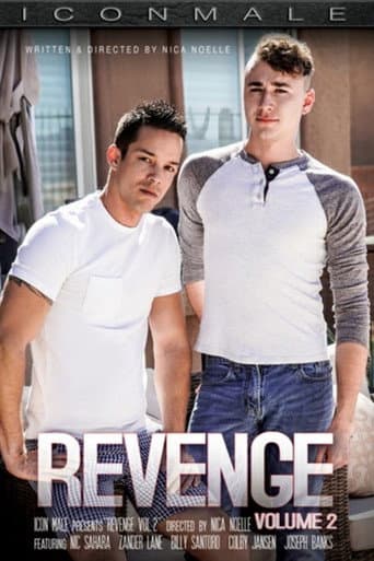 Poster for Revenge 2