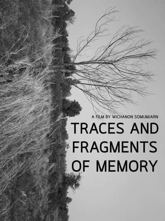 Poster for Traces and Fragments of Memory