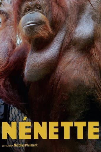 Poster for Nénette