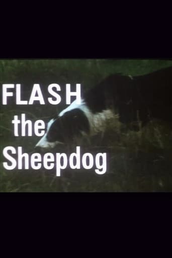 Poster for Flash the Sheepdog