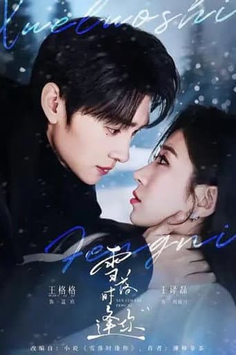 Poster for 雪落时逢你
