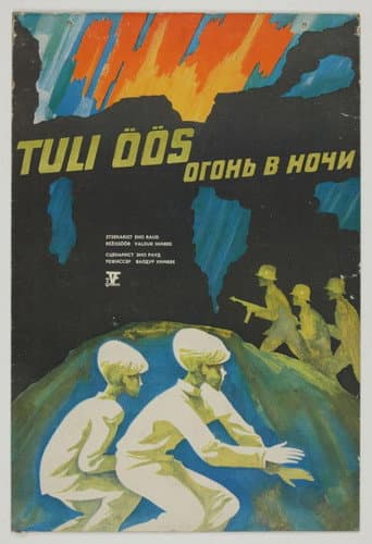 Poster for Fire in the Night