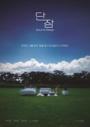 Poster for Sound Sleep