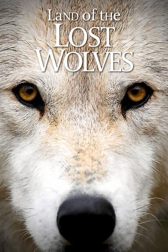 Poster for Land of the Lost Wolves