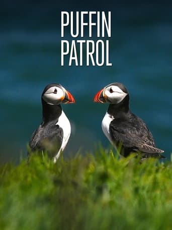 Poster for Puffin Patrol