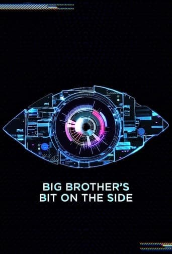 Poster for Big Brother's Bit on the Side