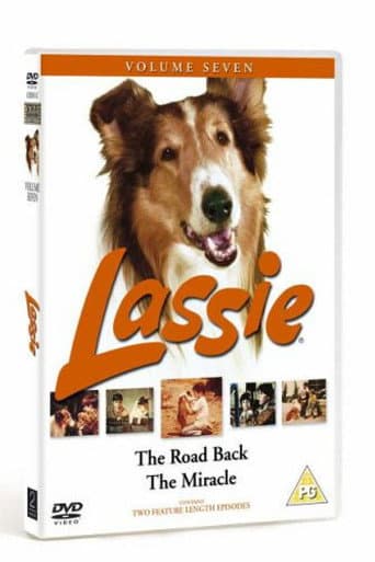 Poster for Lassie - The Road Back