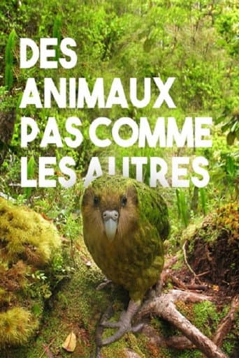 Poster for Des animaux pas comme les autres