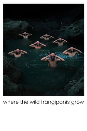 Poster for Where the Wild Frangipanis Grow