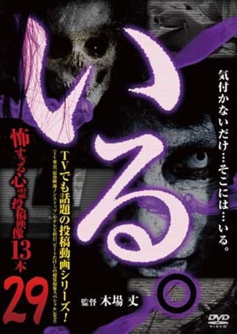 Poster for 「Iru.」~ Kowasugiru Tōkō Eizō 13-hon ~ Vol.29