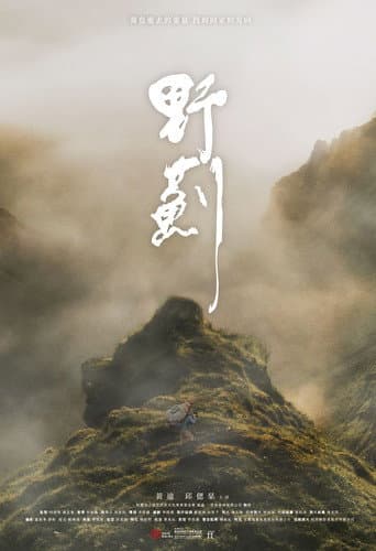 Poster for The Way Home