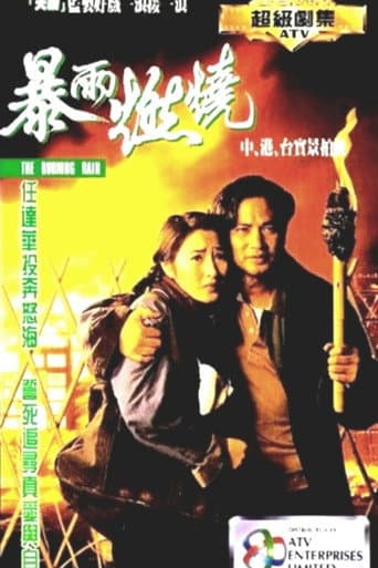 Poster for 暴雨燃燒