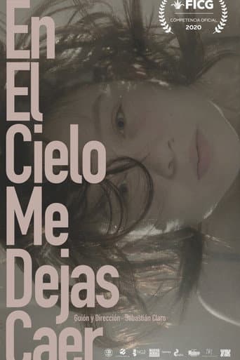 Poster for In the Sky You Let Me Fall