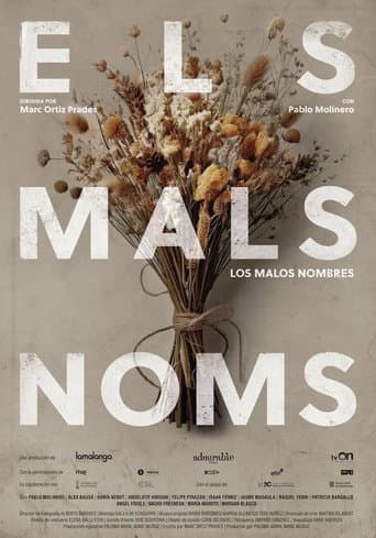 Poster for Els mals noms