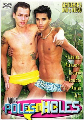 Poster for More Poles in Holes