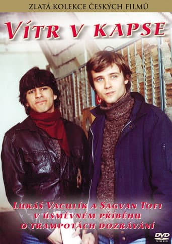 Poster for Vítr v kapse