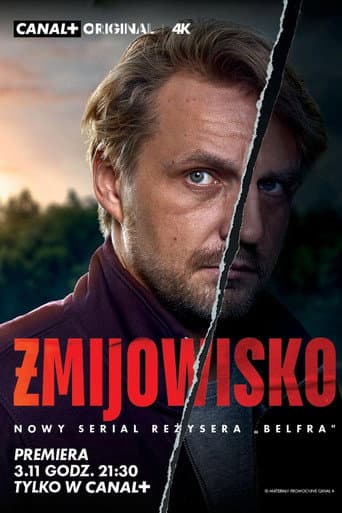 Poster for Limited Series