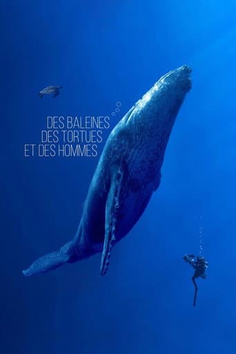 Poster for Des baleines, des tortues et des hommes