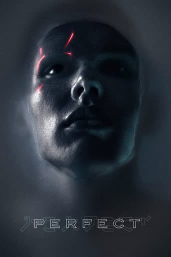 Poster for Perfect