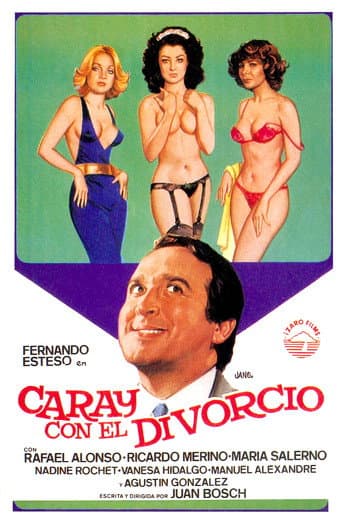 Poster for Hooray for Divorce!