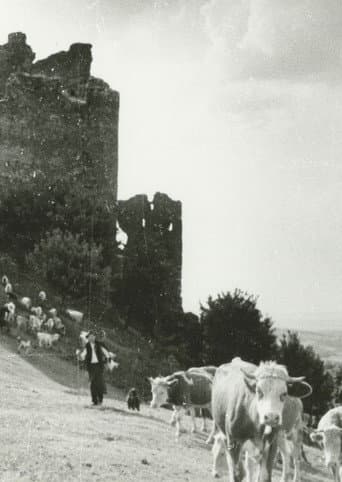Poster for Stones, Castles and Men