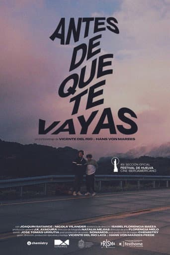 Poster for Before You Go
