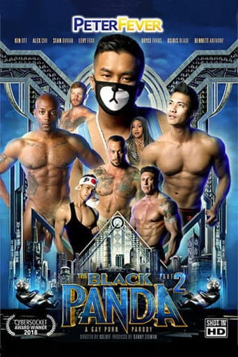 Poster for The Black Panda 2