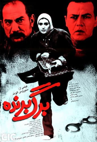 Poster for The Winning Card