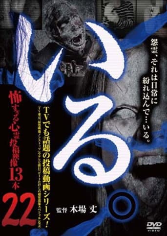 Poster for 「Iru.」~ Kowasugiru Tōkō Eizō 13-hon ~ Vol.22