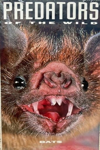 Poster for Predators of the Wild: Bats
