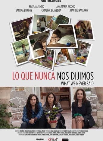 Poster for What We Never Said