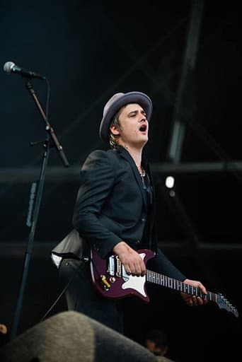 Poster for Babyshambles: Best Kept Secret Festival