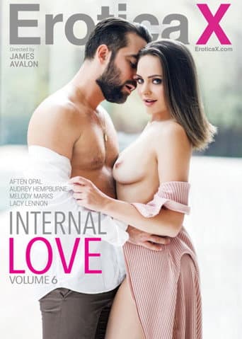 Poster for Internal Love 6