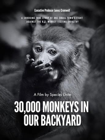 Poster for 30,000 Monkeys in Our Backyard