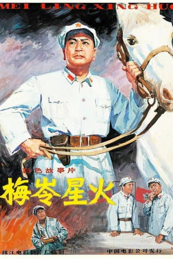 Poster for 梅岭星火