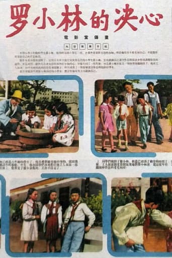 Poster for 罗小林的决心