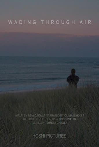 Poster for Wading Through Air