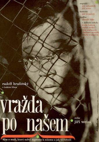 Poster for Murder Czech Style